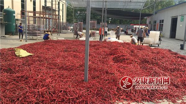 ttĮa(chn)I(y).jpg