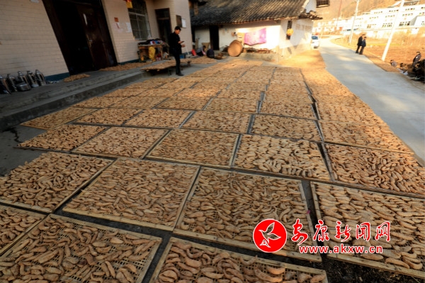 A_(ki)ԼN߀ոȺNֲ飬(dng)ȺÓؚ¸_meitu_2.jpg
