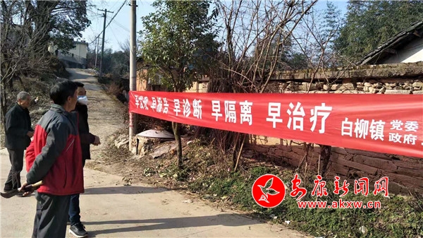 白柳鎮(zhèn)村道路口張貼疫情防控宣傳條幅.jpg